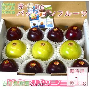 徳之島 天城町 吉川果樹園 赤黄混合 贈答用 パッションフルーツ 約1kg イエローパッション