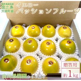 徳之島 天城町 吉川果樹園  贈答用 イエローパッションフルーツ 約1kg パッションフルーツ 
