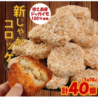徳之島 天城町 徳之島産 新じゃがコロッケ 計40個(10個入り×4袋)