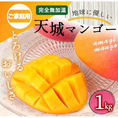【2026年発送】【数量限定】徳之島 天城町産 完全無加温 完熟 マンゴー 家庭用 1kg
