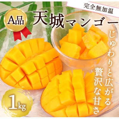 【2025年発送】徳之島 天城町産 完全無加温 完熟 マンゴー A品 1kg 贈答