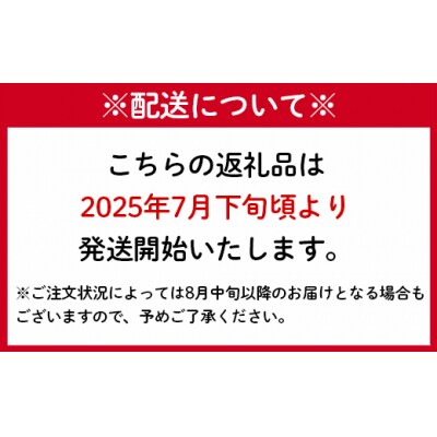 【2025年発送】先行受付 徳之島 天城町産 完全無加温 完熟 マンゴー A品 1kg 贈答