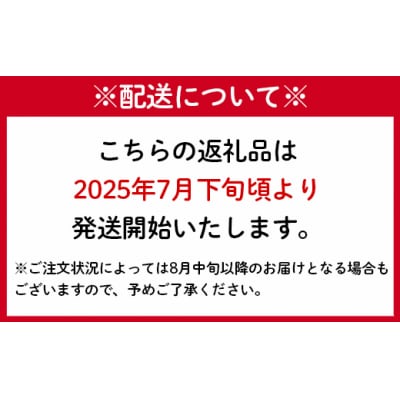 【2025年発送】徳之島 天城町産 完全無加温 完熟 マンゴー A品 1kg 贈答