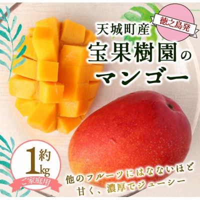 【2026年発送】【先行受付】徳之島 天城町産 宝果樹園 完熟 マンゴー ご家庭用 1kg
