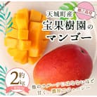 【2026年発送】【先行受付】徳之島 天城町産 宝果樹園 完熟 マンゴー ご家庭用 2kg