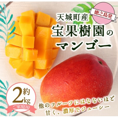 【2026年発送】【先行受付】徳之島 天城町産 宝果樹園 完熟 マンゴー ご家庭用 2kg