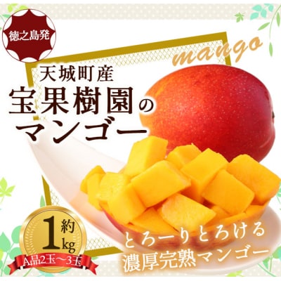 【2026年発送】【先行受付】徳之島 天城町産 宝果樹園 完熟 マンゴー A品 1kg 贈答用