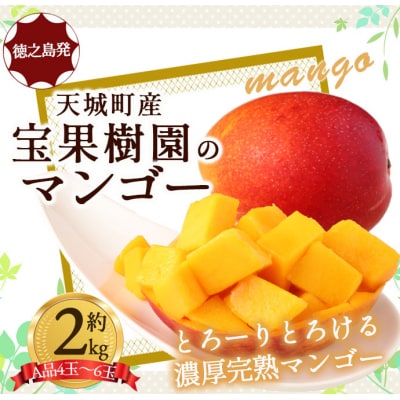 【2026年発送】【先行受付】徳之島 天城町産 宝果樹園 完熟 マンゴー A品 2kg 贈答用