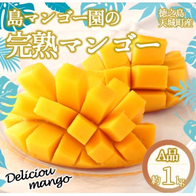 【2026年発送】【先行受付】徳之島 天城町産 島マンゴー園 完熟 マンゴー A品 1kg