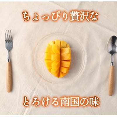 【2026年発送】【先行受付】徳之島 天城町産 島マンゴー園 完熟 マンゴー A品 1kg