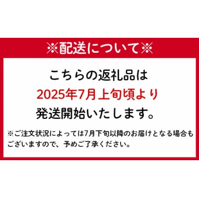 【2026年発送】【先行受付】徳之島 天城町産 島マンゴー園 完熟 マンゴー A品 1kg