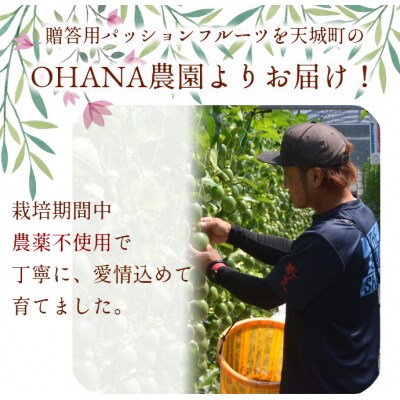 【2025年発送】徳之島 天城町 OHANA農園 パッションフルーツ 贈答用 1kg フルーツ