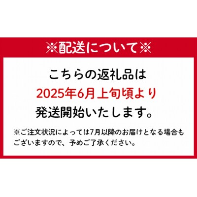 【2025年発送】徳之島 天城町 OHANA農園 パッションフルーツ 贈答用 1kg フルーツ