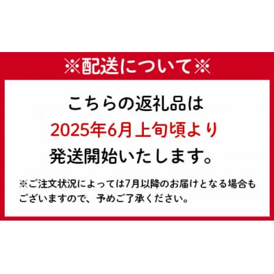 【2026年発送】徳之島 天城町 OHANA農園 パッションフルーツ 贈答用 1kg フルーツ