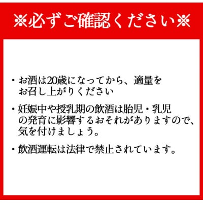 徳之島 天城町 黒糖焼酎 島のナポレオン 祝いボトル 900ml×2本セット 黒糖 焼酎 酒 記念 