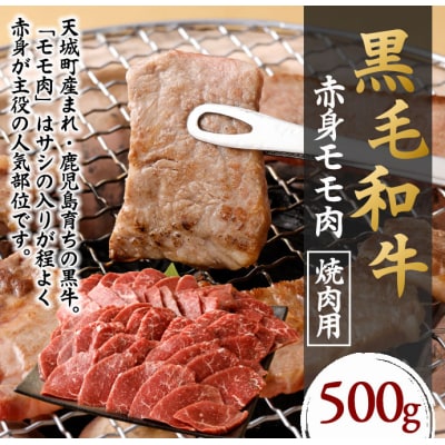 徳之島 天城町 鹿児島黒毛和牛 赤身 モモ肉 焼肉用 500g 国産 牛肉 もも肉