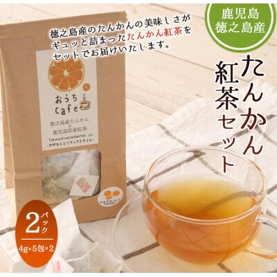 徳之島 天城町 たんかん紅茶 2パックセット (4g×5包)×2パック タンカン 紅茶 ティーパック