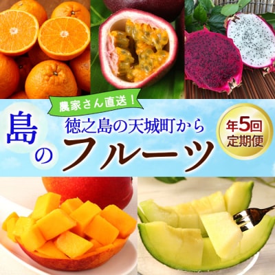 【年5回発送】徳之島 天城町 島のフルーツ 定期便 タンカン パッションフルーツ マンゴー