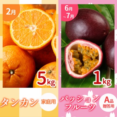 【年5回発送】徳之島 天城町 島のフルーツ 定期便 タンカン パッションフルーツ マンゴー