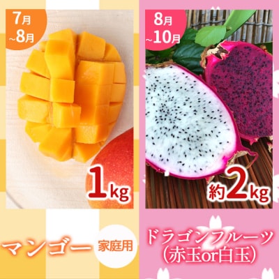 【年5回発送】徳之島 天城町 島のフルーツ 定期便 タンカン パッションフルーツ マンゴー