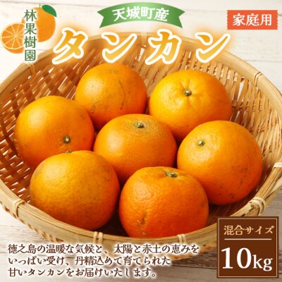 徳之島 天城町 林果樹園 徳之島産 タンカン ご家庭用 混合サイズ 10kg 柑橘 タンカン みかん