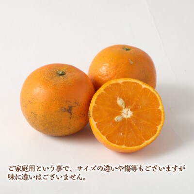 徳之島 天城町 林果樹園 徳之島産 タンカン ご家庭用 混合サイズ 10kg 柑橘 タンカン みかん