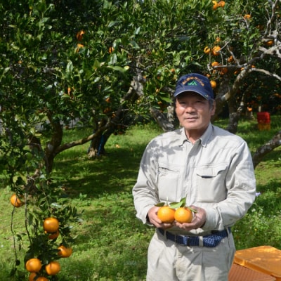 徳之島 天城町 林果樹園 徳之島産 タンカン ご家庭用 混合サイズ 10kg 柑橘 タンカン みかん