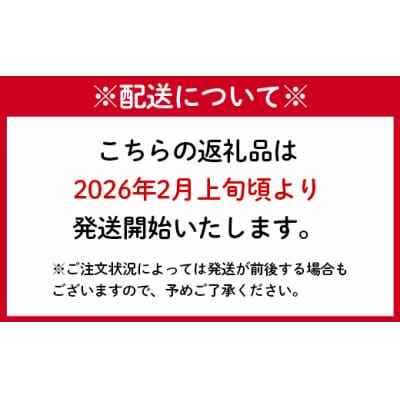 徳之島 天城町 林果樹園 徳之島産 タンカン ご家庭用 混合サイズ 10kg 柑橘 タンカン みかん