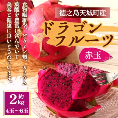 【2026年発送分】ご家庭用 徳之島 天城町産ドラゴンフルーツ 赤色 約2kg
