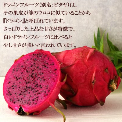 【2026年発送分】ご家庭用 徳之島 天城町産ドラゴンフルーツ 赤色 約2kg