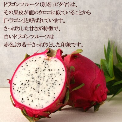 【2026年発送分】ご家庭用 徳之島 天城町産ドラゴンフルーツ 白色 約2kg