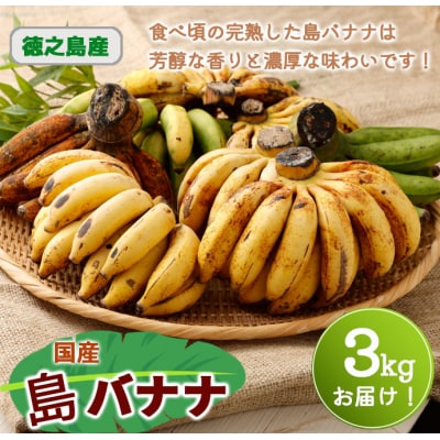 【鹿児島県天城町】【2025年発送】徳之島子宝バナナ 3kg 島バナナ バナナ  AL-10-N