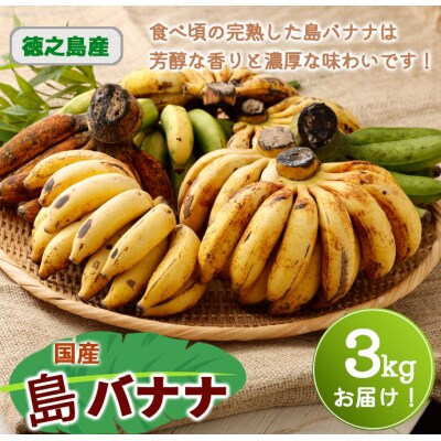 【鹿児島県天城町】【2026年発送】徳之島子宝バナナ 3kg 島バナナ バナナ  AL-10-N