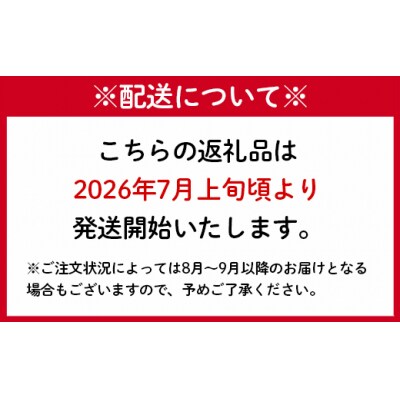 【鹿児島県天城町】【2026年発送】徳之島子宝バナナ 3kg 島バナナ バナナ  AL-10-N