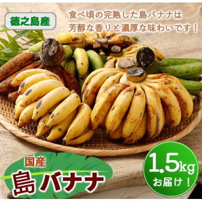 【鹿児島県天城町】【2026年発送】徳之島 子宝バナナ 1.5kg 島バナナ バナナ AL-6-N