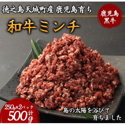徳之島 天城町産 鹿児島育ち 鹿児島黒毛和牛ミンチ(500g)