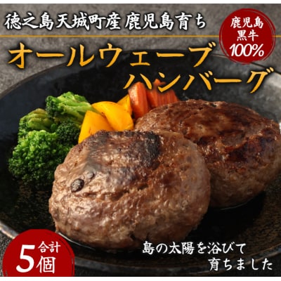 徳之島 天城町産 鹿児島育ち 鹿児島黒牛オールウェーブハンバーグ(5個)