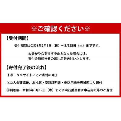 【数量限定】第39回!トライアスロン大会IN徳之島 大会参加券 トライアスロン スポーツ イベント