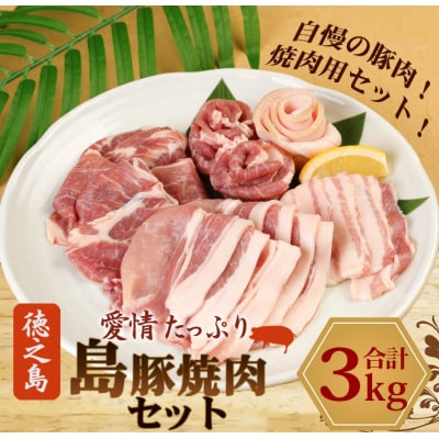 徳之島産 徳之島 愛情たっぷり 島豚 焼肉セット 3種 計3kg 豚肉 食べ比べ 鹿児島県 徳之島