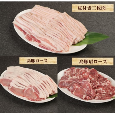 徳之島産 徳之島 愛情たっぷり 島豚 焼肉セット 3種 計3kg 豚肉 食べ比べ 鹿児島県 徳之島