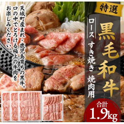 特選 黒毛和牛 すき焼き 焼肉セット 計1.9kg すき焼き用 500g×3 焼肉用 400g×1