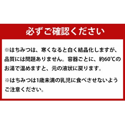 徳之島産 天城町 生はちみつ 南の花しずく ハチミツ 900g(300g×3本) 生蜜 蜂蜜 国産