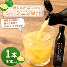 徳之島 天城町 野生みかん100% シークニン果汁 1本 300ml シークニン 果汁 野生 みかん