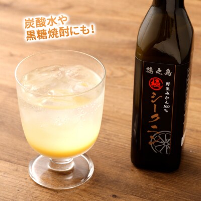 徳之島 天城町 野生みかん100% シークニン果汁 2本(300ml×2本 計600ml)シークニン