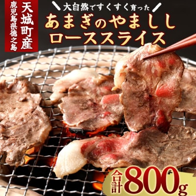 徳之島 天城町 イノシシ ロース スライス 800g 猪肉 ジビエ