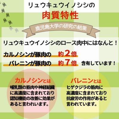 徳之島 天城町 イノシシ ロース スライス 800g 猪肉 ジビエ