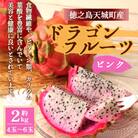 【2025年発送分】徳之島 天城町産 ピンク ドラゴンフルーツ 約2kg トロピカルフルーツ
