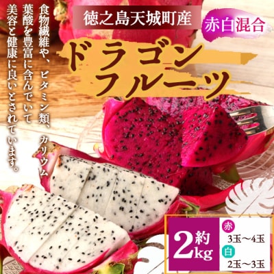 【2026年発送分】ご家庭用 徳之島 天城町産ドラゴンフルーツ 赤白混合 約2kg