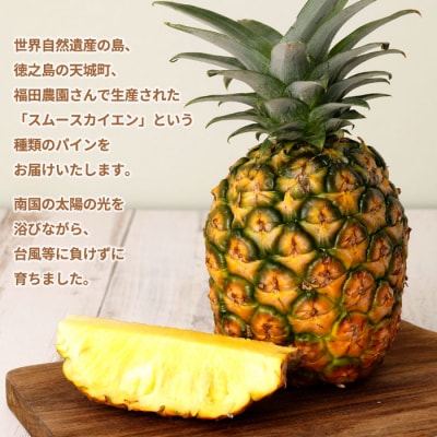 徳之島 天城町産 パイナップル 約3kg 3玉～4玉 スムースカイエン パイン フルーツ 果物