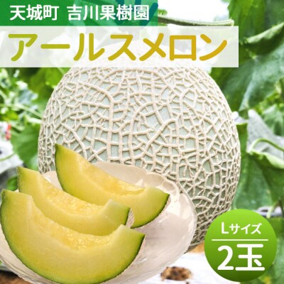 徳之島 天城町 吉川果樹園 アールスメロン Lサイズ 2玉 メロン マスクメロン